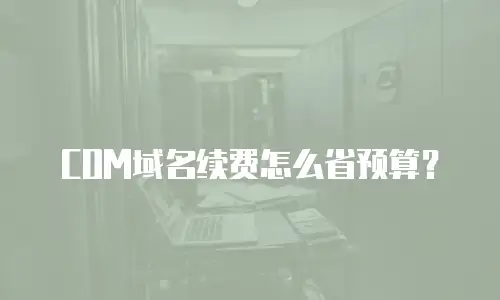 COM域名续费怎么省预算？