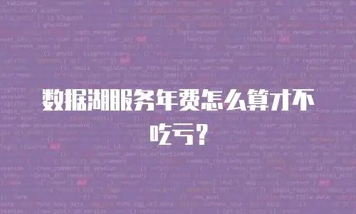 数据湖服务年费怎么算才不吃亏？