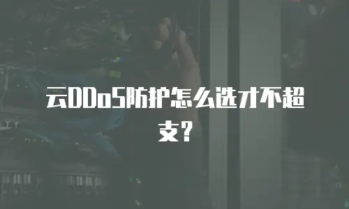 云DDoS防护怎么选才不超支？