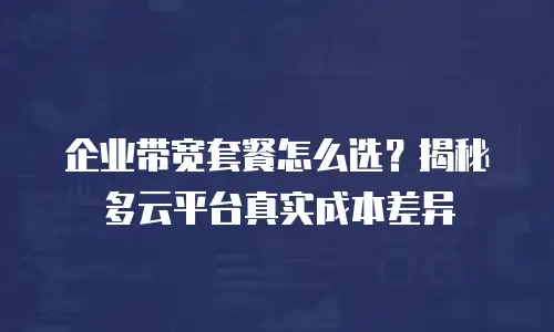 企业带宽套餐怎么选？揭秘多云平台真实成本差异
