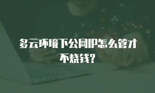 多云环境下公网IP怎么管才不烧钱？