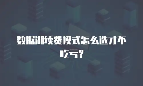数据湖续费模式怎么选才不吃亏？