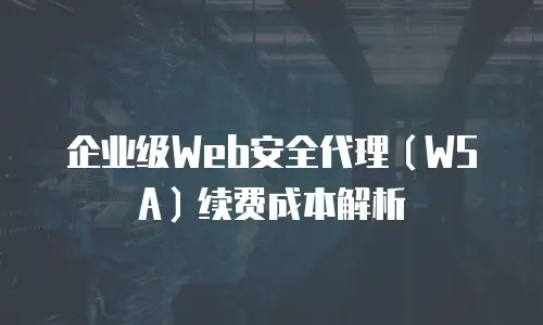 企业级Web安全代理（WSA）续费成本解析