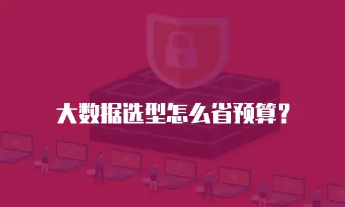 大数据选型怎么省预算？