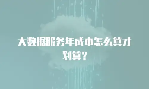 大数据服务年成本怎么算才划算？