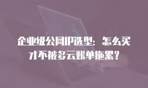 企业级公网IP选型：怎么买才不被多云账单拖累？