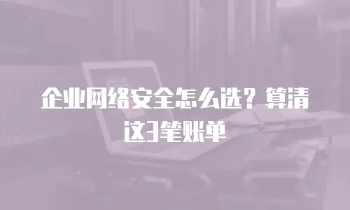 企业网络安全怎么选？算清这3笔账单