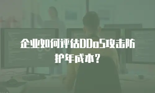 企业如何评估DDoS攻击防护年成本？
