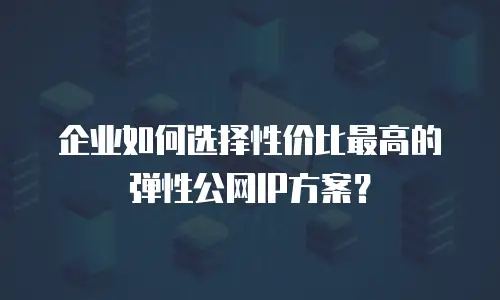 企业如何选择性价比最高的弹性公网IP方案？