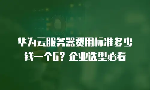 华为云服务器费用标准多少钱一个G？企业选型必看