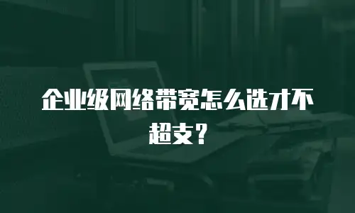 企业级网络带宽怎么选才不超支？
