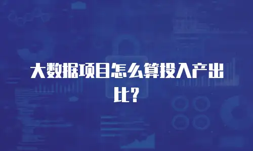 大数据项目怎么算投入产出比？