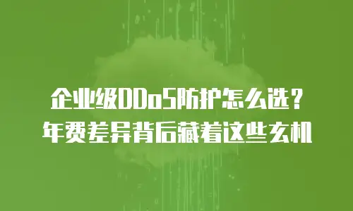 企业级DDoS防护怎么选？年费差异背后藏着这些玄机