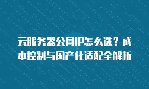 云服务器公网IP怎么选？成本控制与国产化适配全解析