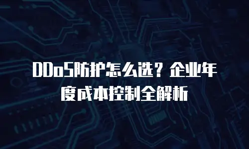 DDoS防护怎么选？企业年度成本控制全解析