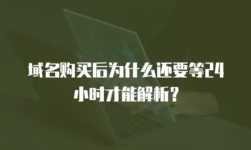 域名购买后为什么还要等24小时才能解析？