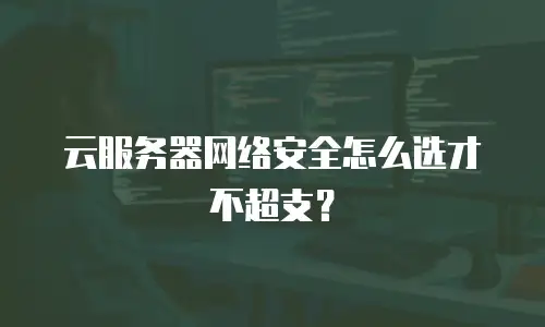 云服务器网络安全怎么选才不超支？