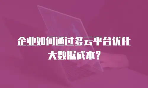 企业如何通过多云平台优化大数据成本？