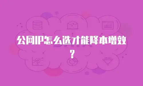 公网IP怎么选才能降本增效？