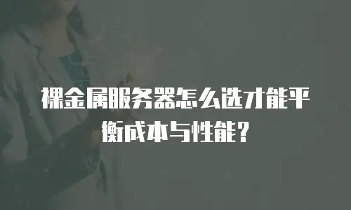裸金属服务器怎么选才能平衡成本与性能？