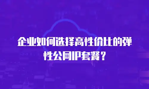 企业如何选择高性价比的弹性公网IP套餐？