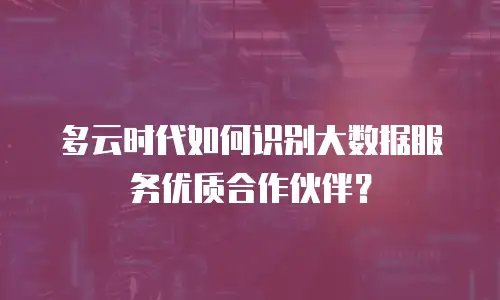 多云时代如何识别大数据服务优质合作伙伴？