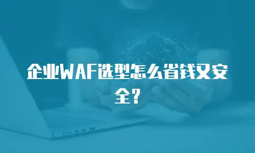 企业WAF选型怎么省钱又安全？