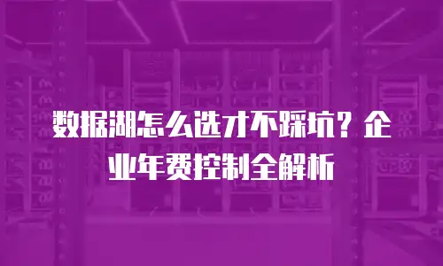 数据湖怎么选才不踩坑？企业年费控制全解析