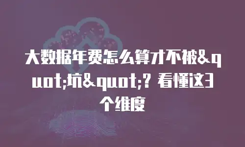 大数据年费怎么算才不被"坑"？看懂这3个维度