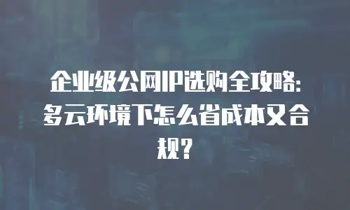 企业级公网IP选购全攻略：多云环境下怎么省成本又合规？