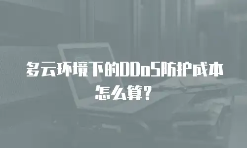 多云环境下的DDoS防护成本怎么算？