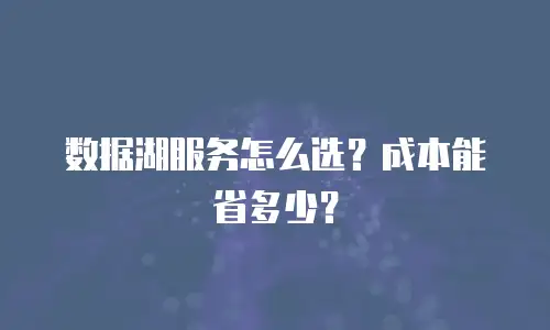 数据湖服务怎么选？成本能省多少？