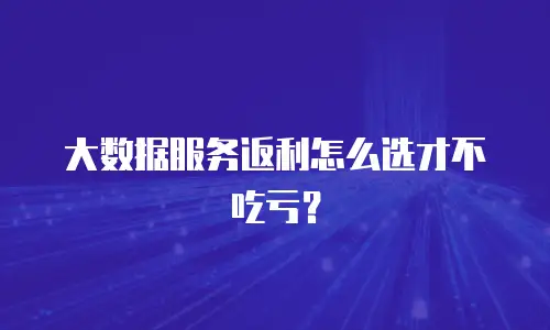 大数据服务返利怎么选才不吃亏？