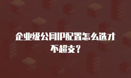企业级公网IP配置怎么选才不超支？