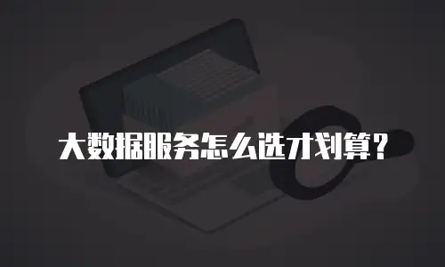 大数据服务怎么选才划算？