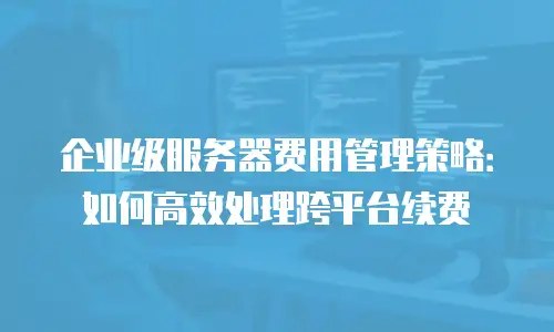 企业级服务器费用管理策略：如何高效处理跨平台续费