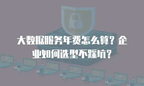 大数据服务年费怎么算？企业如何选型不踩坑？