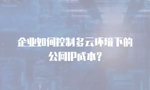 企业如何控制多云环境下的公网IP成本？