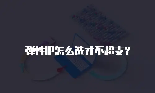 弹性IP怎么选才不超支？