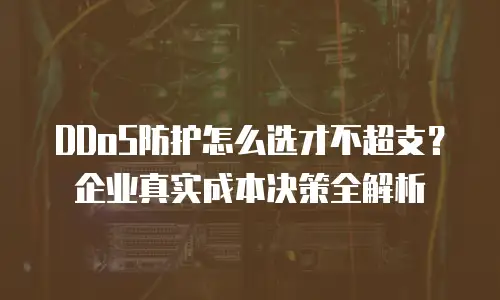 DDoS防护怎么选才不超支？企业真实成本决策全解析