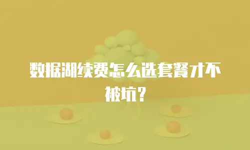 数据湖续费怎么选套餐才不被坑？