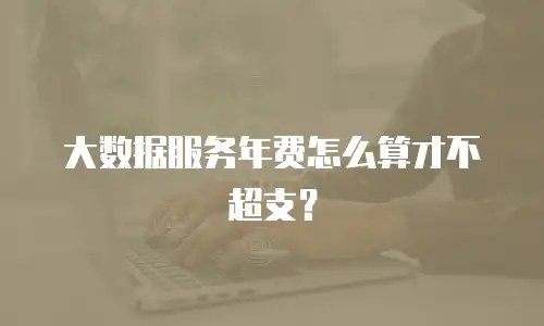 大数据服务年费怎么算才不超支？