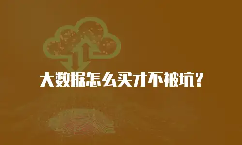 大数据怎么买才不被坑？