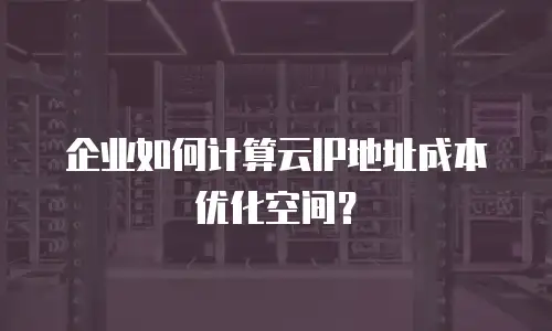 企业如何计算云IP地址成本优化空间？