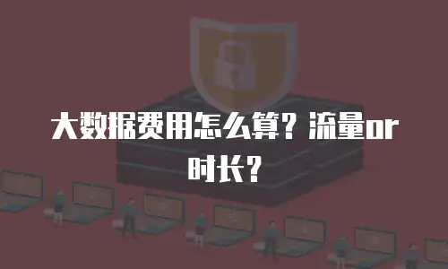 大数据费用怎么算？流量or时长？