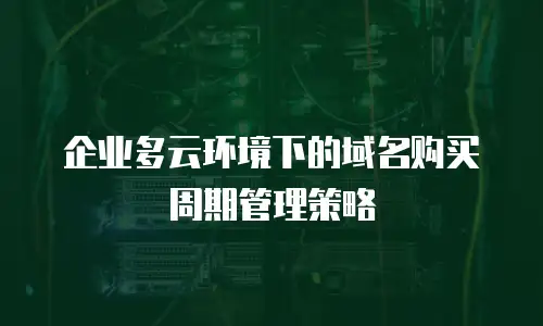 企业多云环境下的域名购买周期管理策略