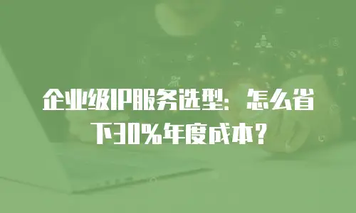 企业级IP服务选型：怎么省下30%年度成本？