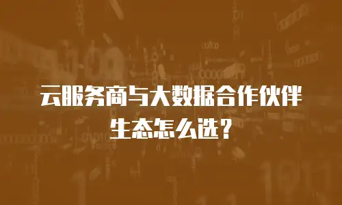云服务商与大数据合作伙伴生态怎么选？