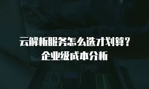 云解析服务怎么选才划算？企业级成本分析