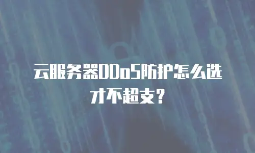 云服务器DDoS防护怎么选才不超支？